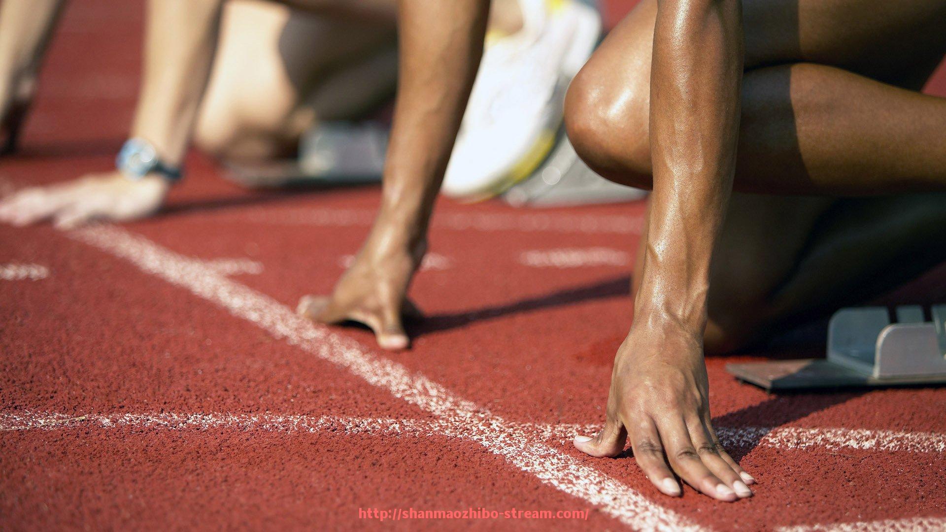 山猫直播官网-主办城市交通事故快速处理机制优化及其对世俱杯赛事顺利运行的保障